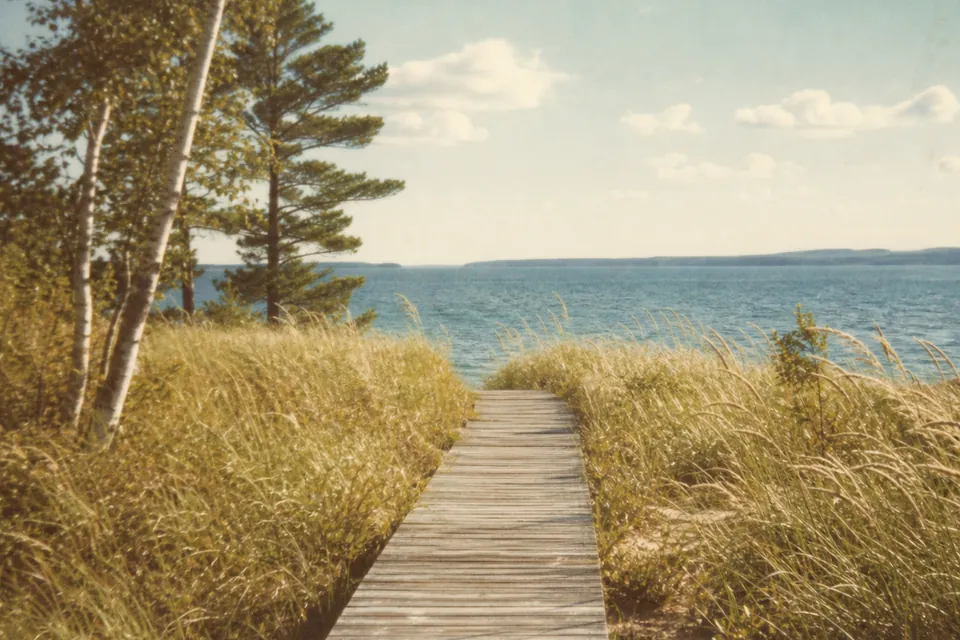 Boardwalk and grassy dunes leading to a lake
